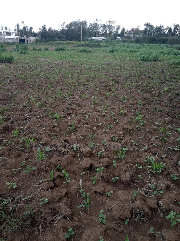 Mangu Plots - thumbnail 7