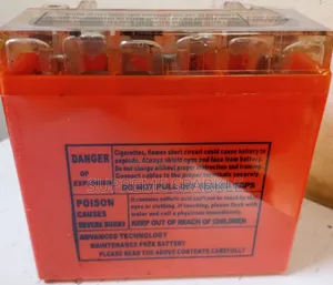 Liger King 12v 9ah Lead-Acid Battery.