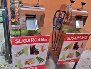 Professional Sugarcane Juicer Machine