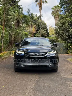 Toyota Harrier 2.0 2020 Black