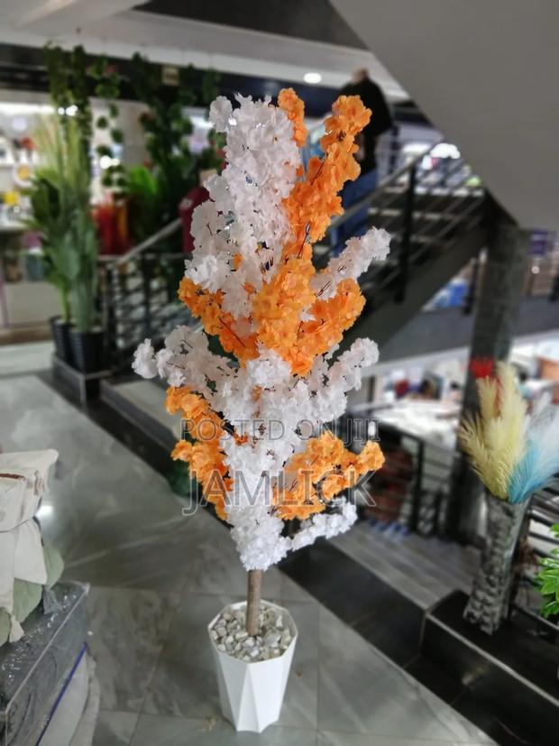 1.8m Cherry Blossoms - Gw - thumbnail 3