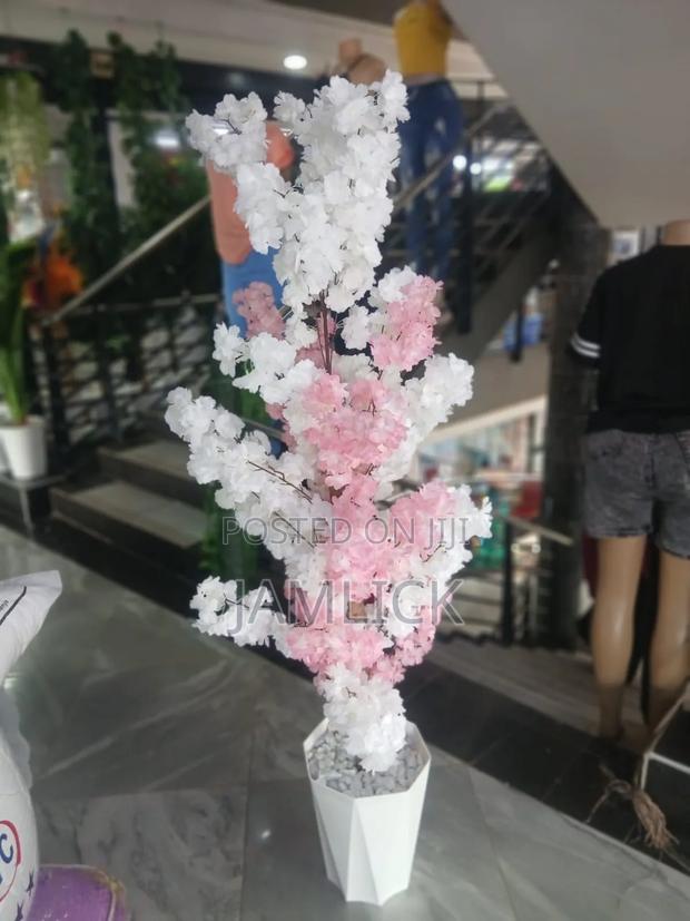 1.8m Cherry Blossoms - Gw - main view