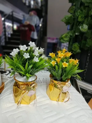 Bonsai Potted Flowers - Gw