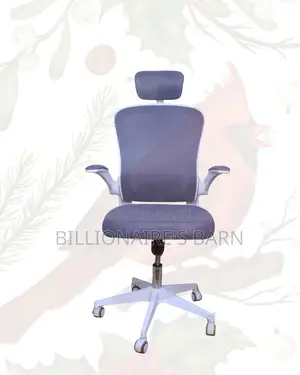 White Ergonomic Office Chair • Workday Comfort, Neck Support Headrest