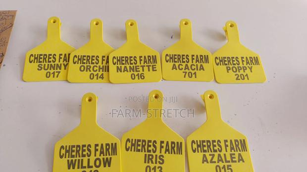 Branded Cow Z Tags