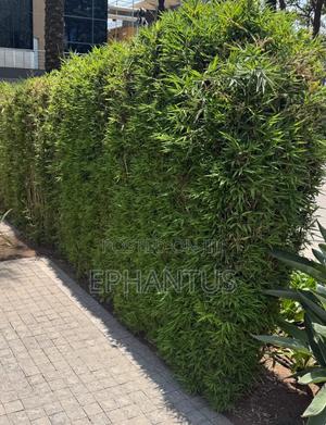 1/2 Acre Kiambu Road - thumbnail 2