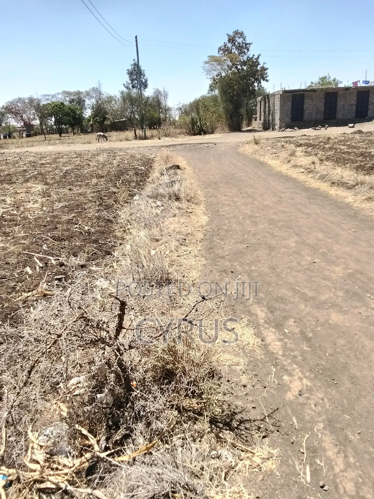 Plot at Ndururumo Murera