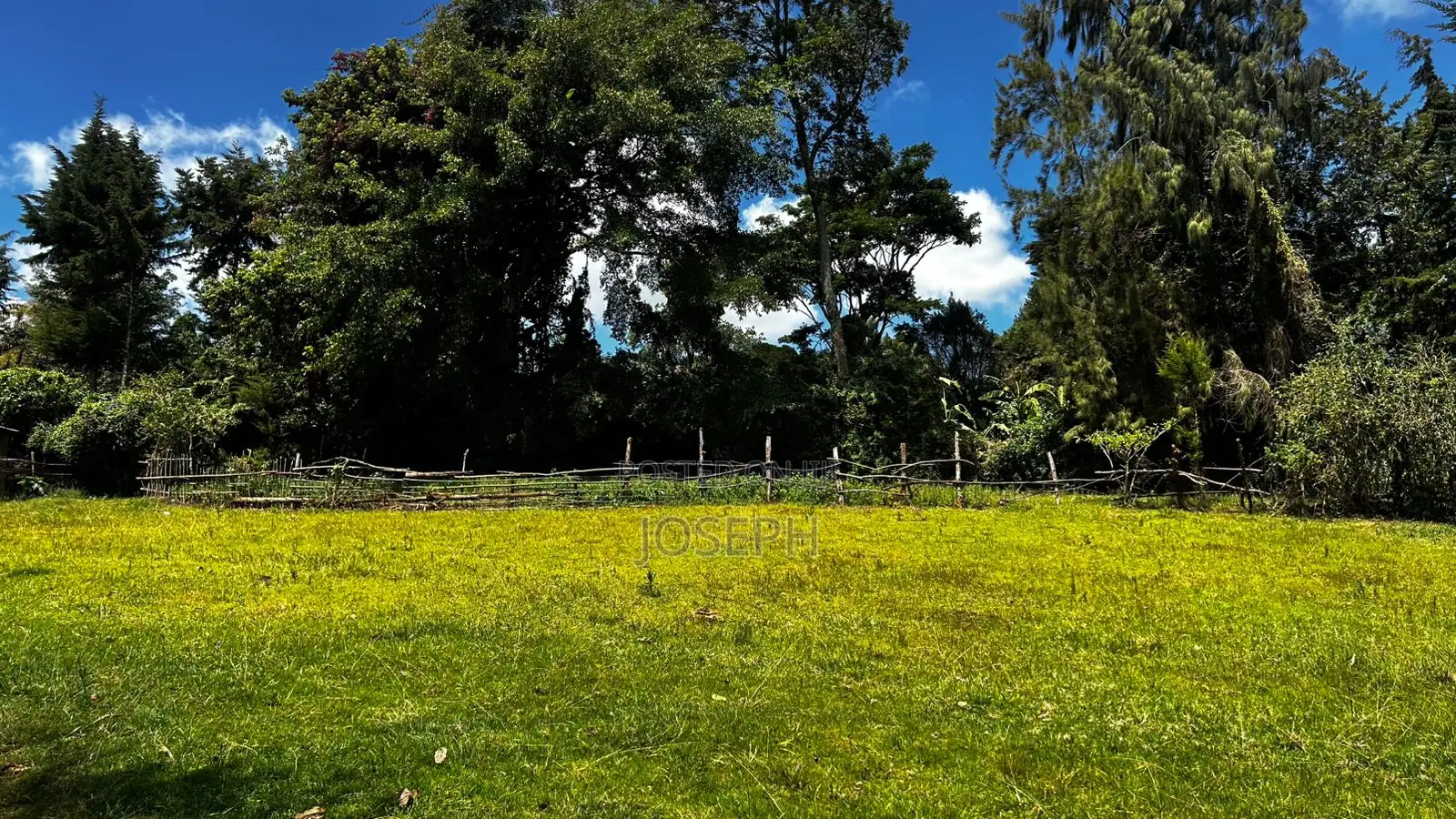 5bdrm Farm House in Tigoni for sale