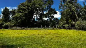 5bdrm Farm House in Tigoni for sale