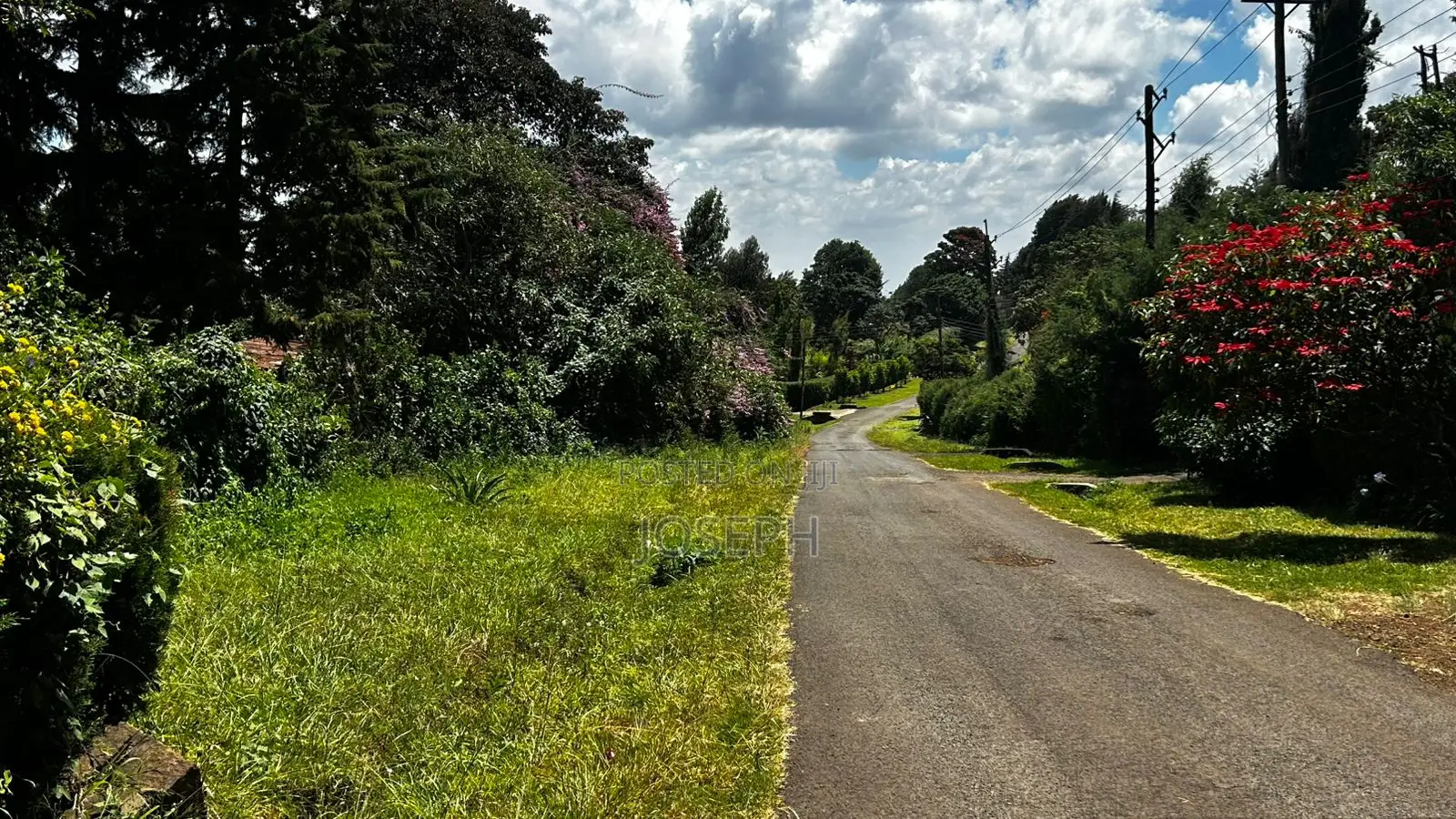 5bdrm Farm House in Tigoni for sale