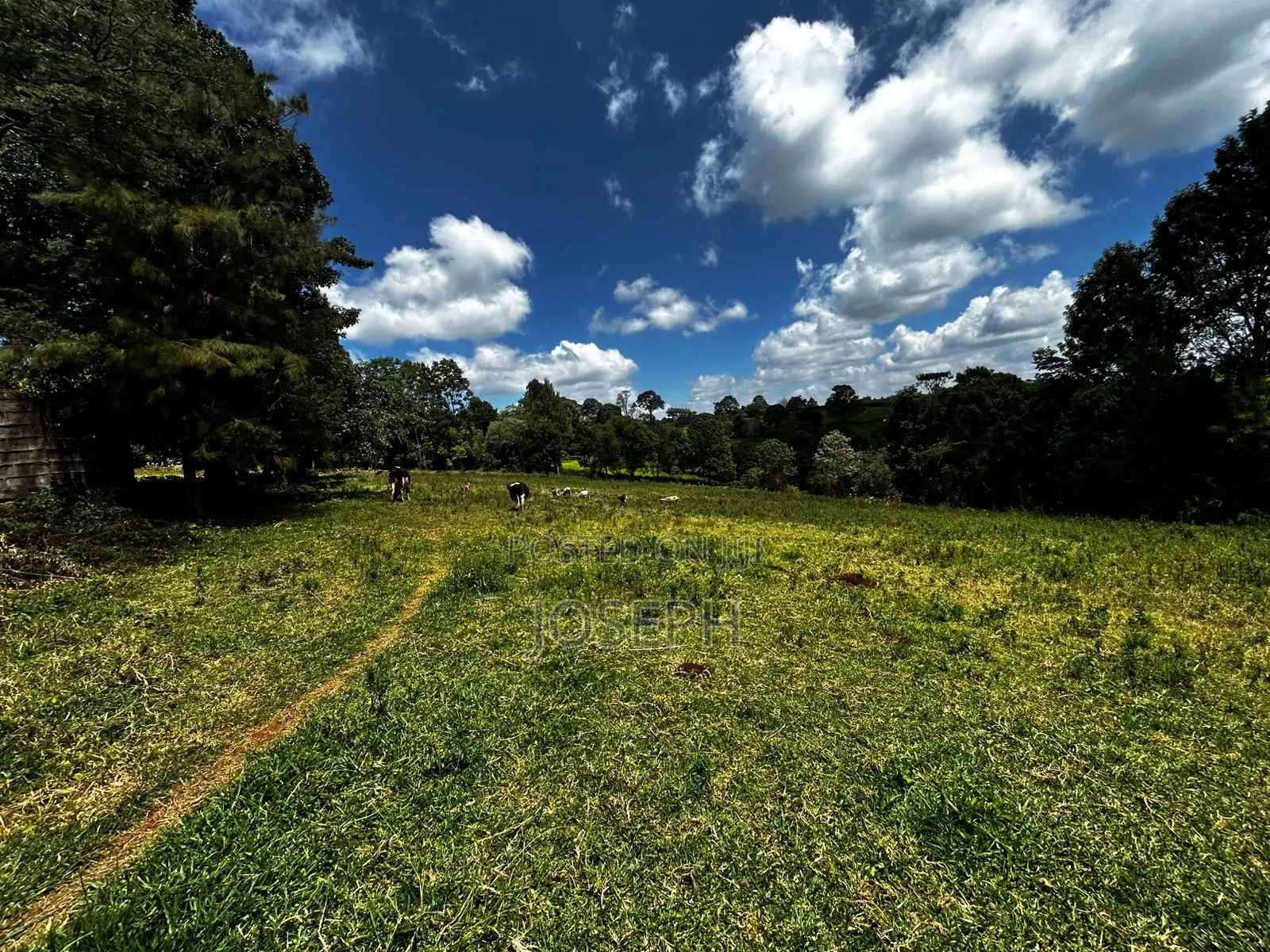 5bdrm Farm House in Tigoni for sale
