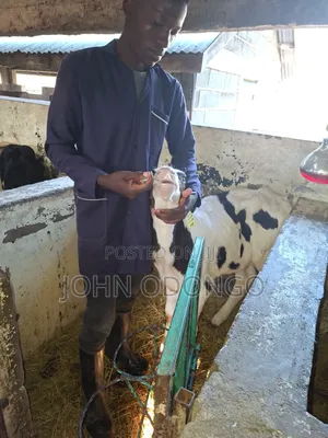 Agricultural Expert (Farming and Livestock Husbandry.)