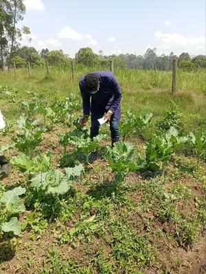 Agricultural Expert (Farming and Livestock Husbandry.)