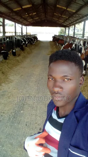 Agricultural Expert (Farming and Livestock Husbandry.)