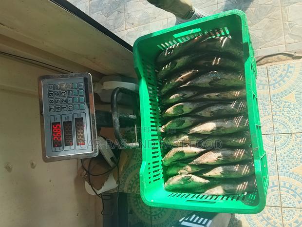 Fresh Talapia Fish - main view