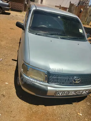 Toyota Probox 2005 Silver