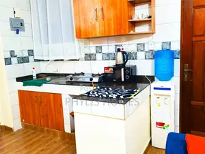 Executive One Bedroom in South B