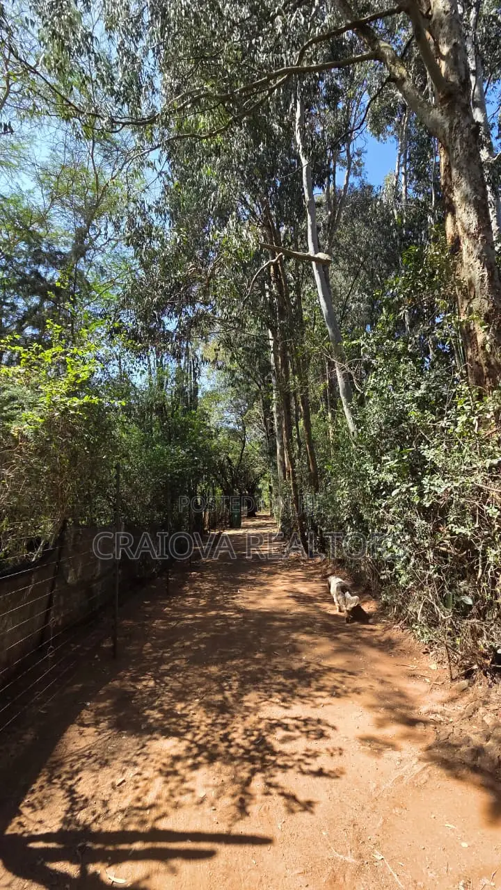 Land in Karen for Sale