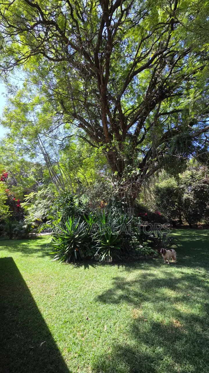 Land in Karen for Sale