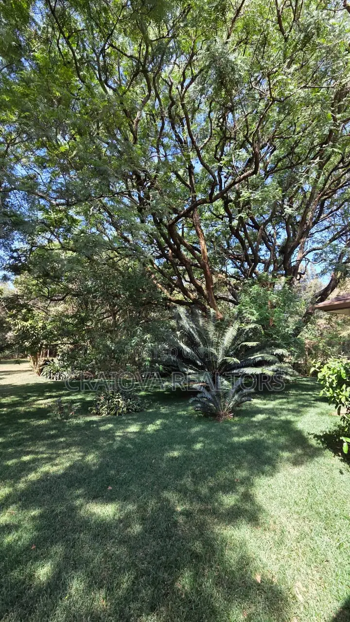 Land in Karen for Sale