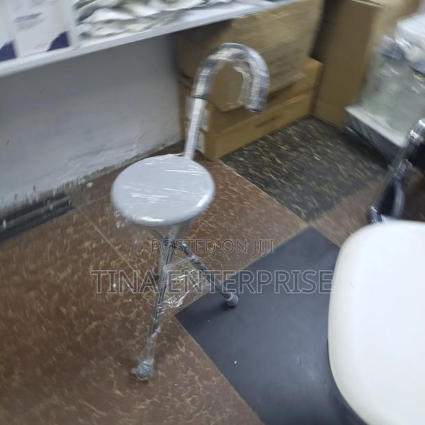 Walking Stick With A Chair - main view