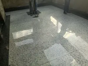 Master Piece Terrazzo Floor 001