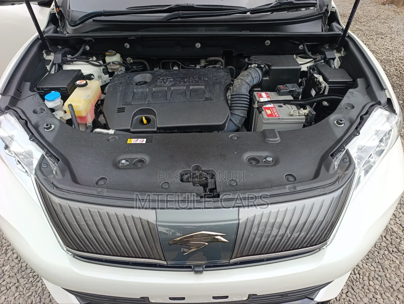 Toyota Harrier 2019 Pearl