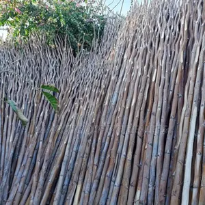 Sisal Poles Suppliers and Delivery.