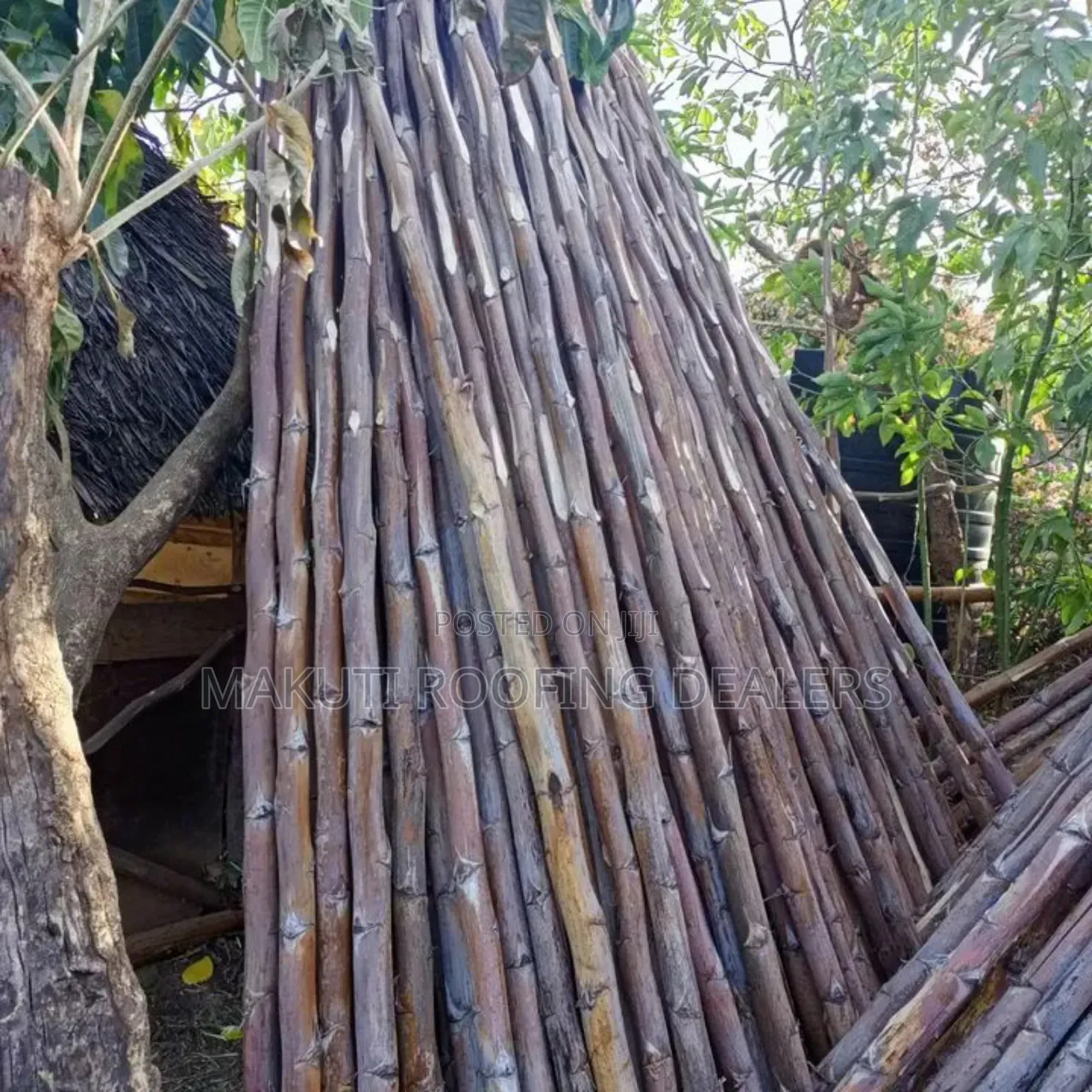 Sisal Poles Suppliers and Delivery.
