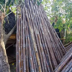 Sisal Poles Suppliers and Delivery.