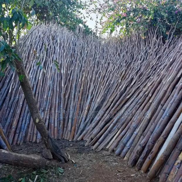 Sisal Poles Suppliers and Delivery. - thumbnail 5
