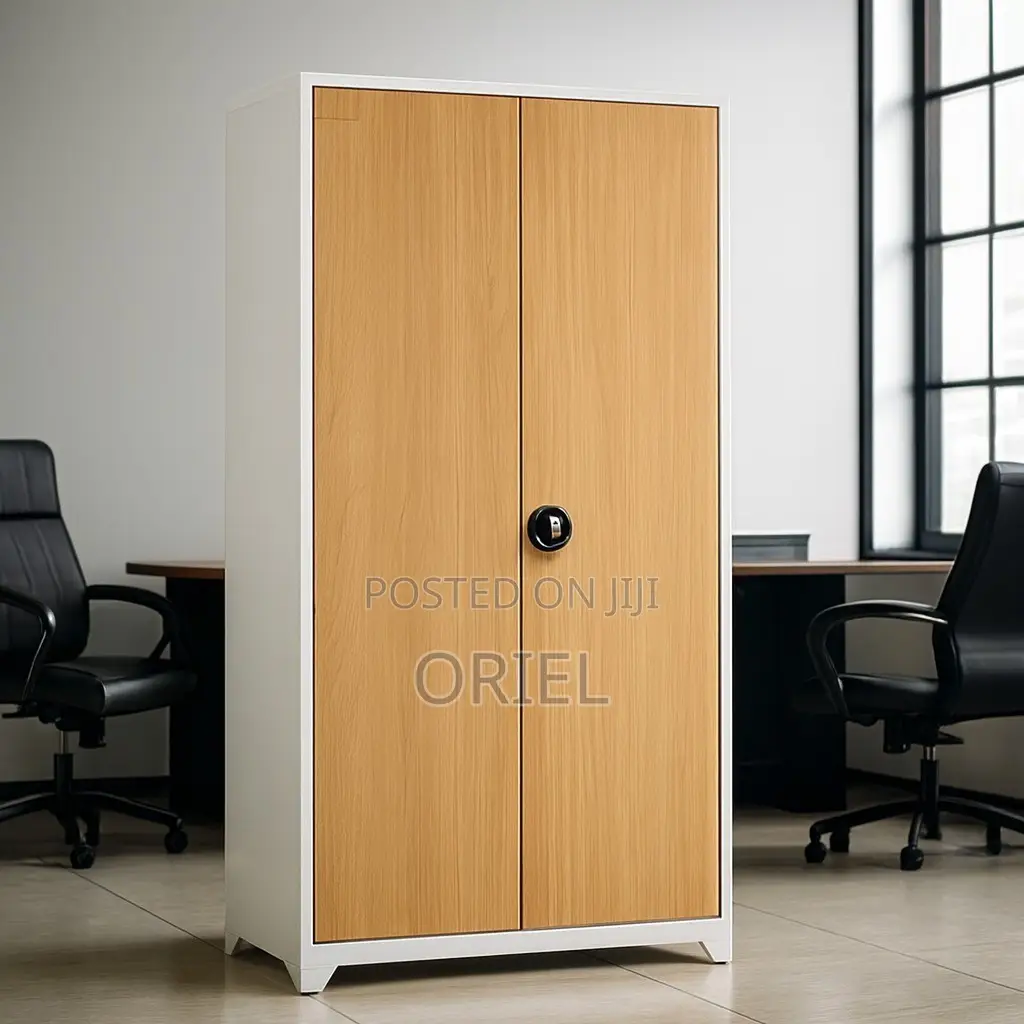 Office Cabinet : 2-Door Stainless Metal Office Cabinet