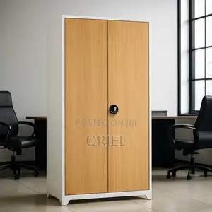 Office Cabinet : 2-Door Stainless Metal Office Cabinet