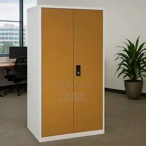 Office Cabinet : 2-Door Stainless Metal Office Cabinet