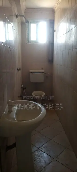 2bdrm Apartment in Mlango Saba, Mshomoroni for rent