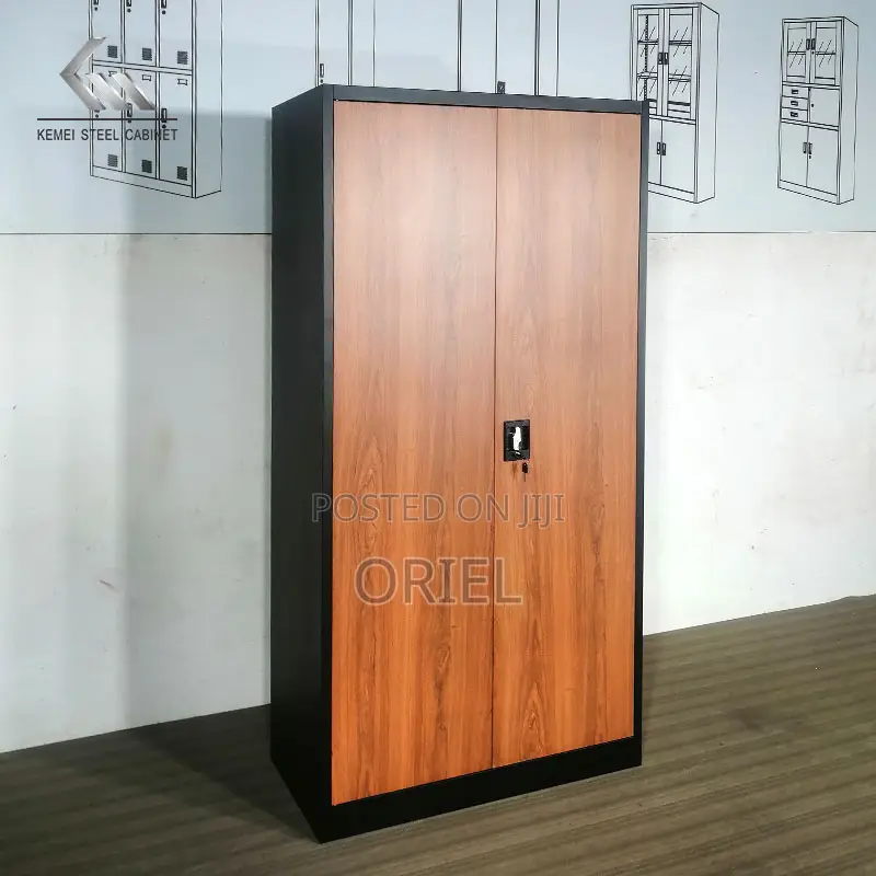 Office Cabinet : 2-Door Stainless Metal Office Cabinet