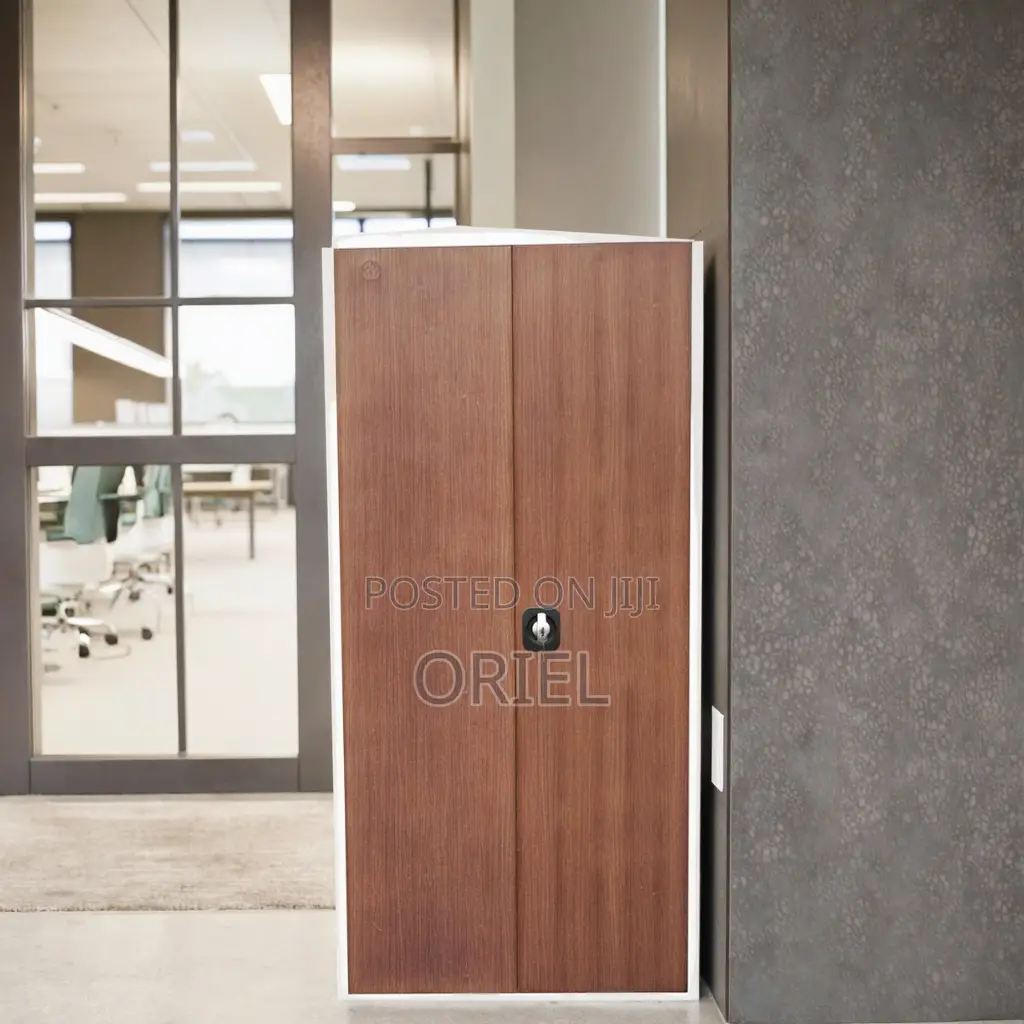 Office Cabinet : 2-Door Stainless Metal Office Cabinet