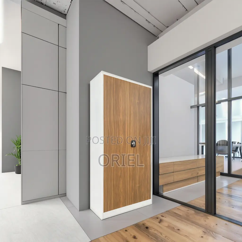 Office Cabinet : 2-Door Stainless Metal Office Cabinet