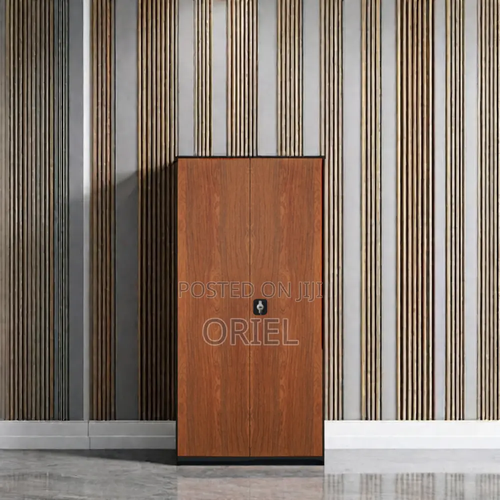 Office Cabinet : 2-Door Stainless Metal Office Cabinet