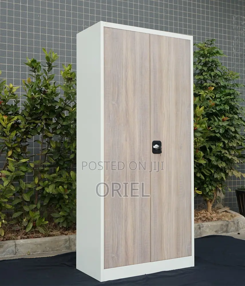 Office Cabinet : 2-Door Stainless Metal Office Cabinet