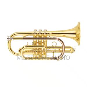 Cornet in Kenya - thumbnail 2