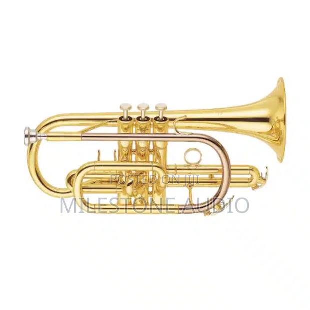 Cornet in Kenya