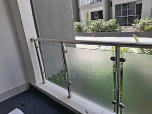Window Tints
