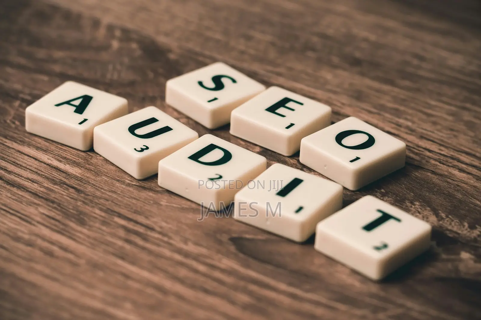 SEO Specialist | Data Analyst