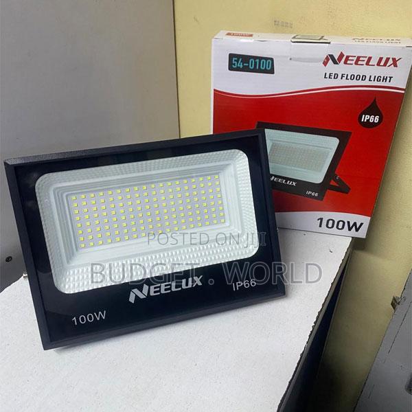 High Power Neelux 100w Ac Led Floodlight