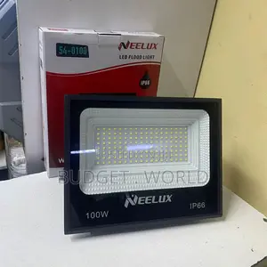 Neelux Outdoor 100w Ac Flood Light