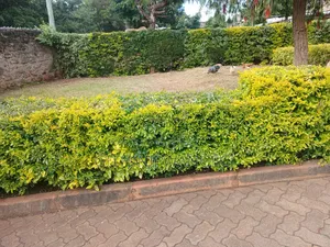 3bdrm Bungalow in Ololua, Oluulua for sale