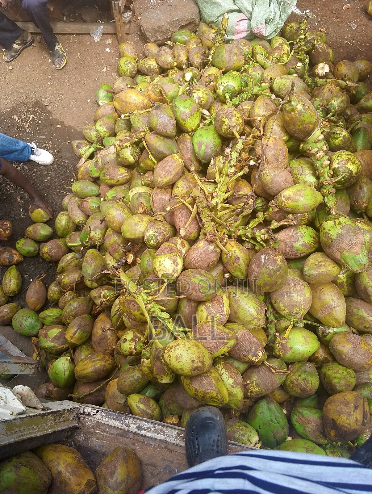 Coconut Water /Madafu