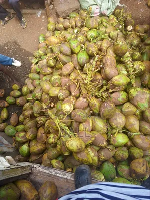 Coconut Water /Madafu