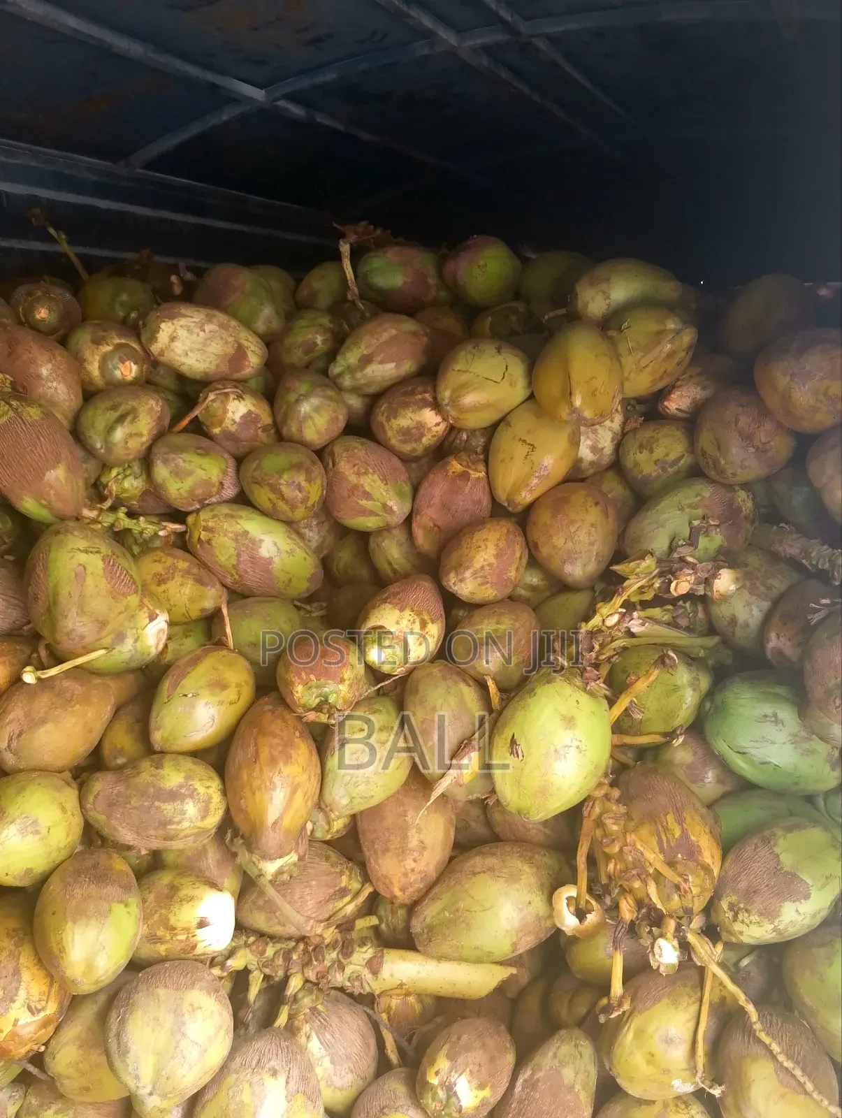 Coconut Water /Madafu